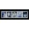 Arctic Animal United States Postage Stamp Series